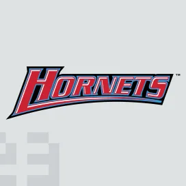 Delaware state hornets